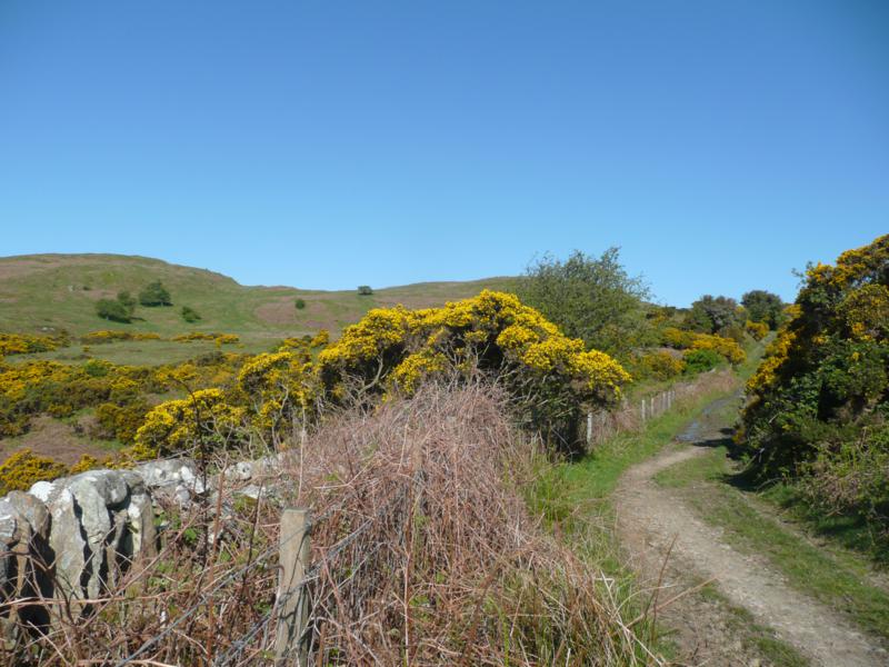 The Old Military Road